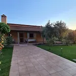 Freedom - Koutsoubri Evia Agriovotano