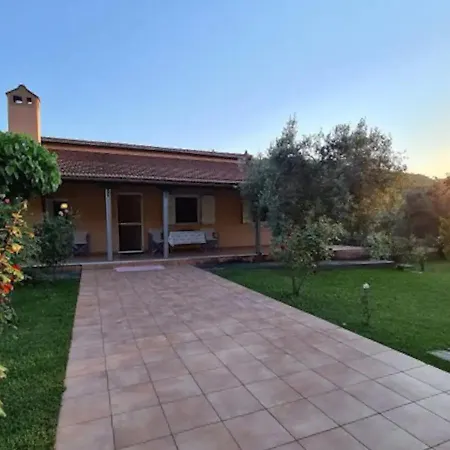 Freedom - Koutsoubri Evia Agriovotano