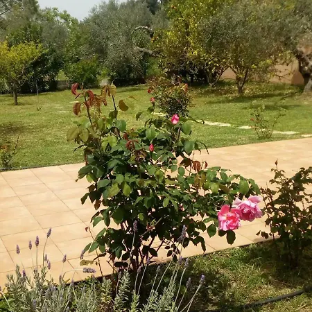 Freedom - Koutsoubri Evia Casa vacanze