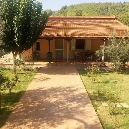 Freedom - Koutsoubri Evia * Agriovotano