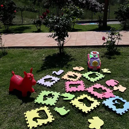 Freedom - Koutsoubri Evia Holiday home *