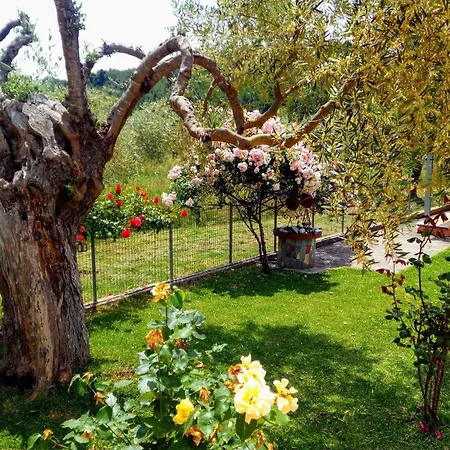 Freedom - Koutsoubri Evia Holiday home Agriovotano