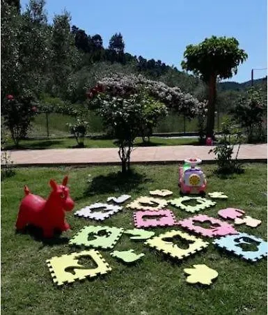 Freedom - Koutsoubri Evia * Agriovotano