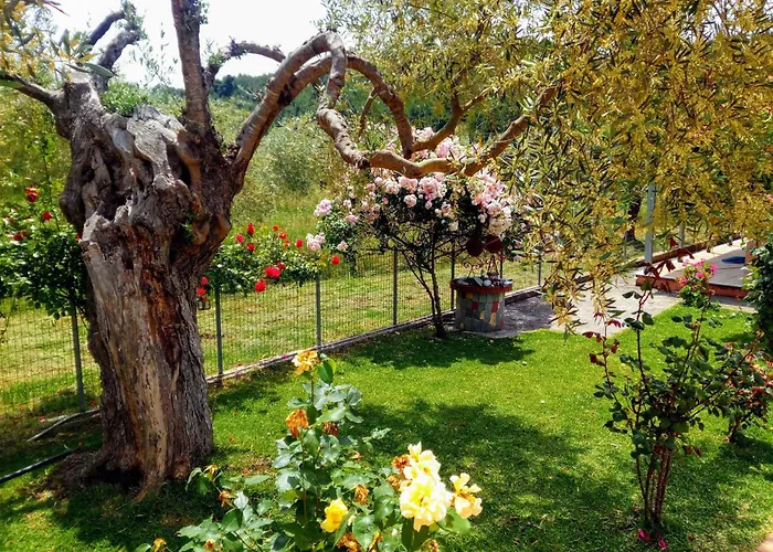 Freedom - Koutsoubri Evia Holiday home Agriovotano